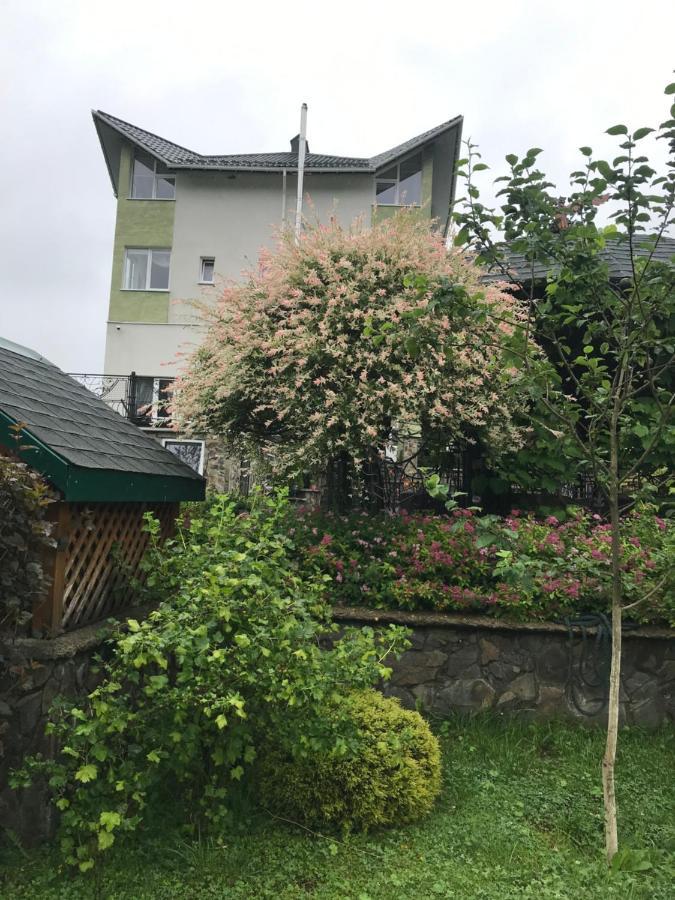 ЯрДана Apartment Skhidnytsia Екстериор снимка